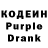 Кодеин Purple Drank Flashyio