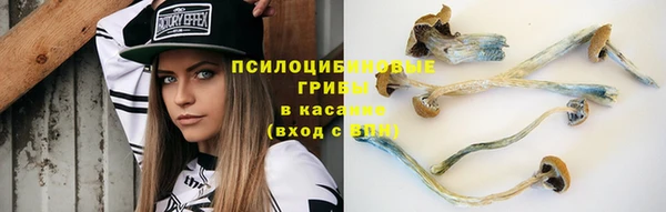 МДПВ Абдулино