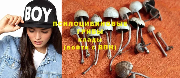 амф Абаза