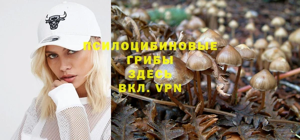 амф Абаза