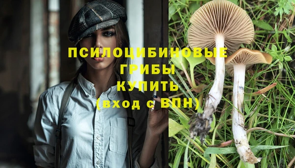МДПВ Абдулино