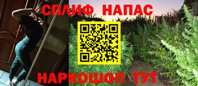 дмт Пушкино