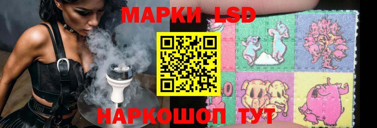 блэк спрут как зайти  Лсд 25 экстази кислота  Лсд 25 экстази ecstasy  Вход с VPN  Урюпинск 