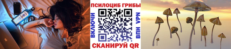 Галлюциногенные грибы Cubensis  купить наркотики сайты  Урюпинск 